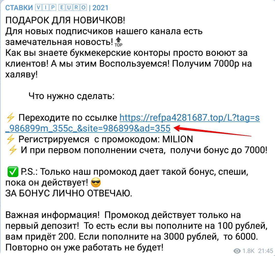 Услуги Ставки VIP EURO 2021