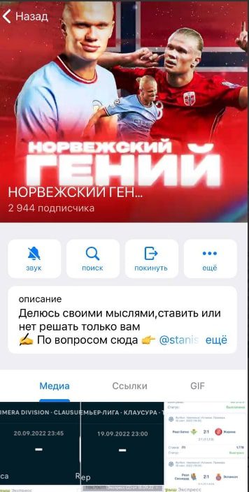 Телеграмм канал НОРВЕЖСКИЙ ГЕНИЙ