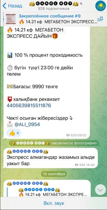 Канал CAROL BET