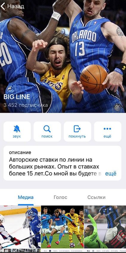 Телеграмм проект BIG LINE
