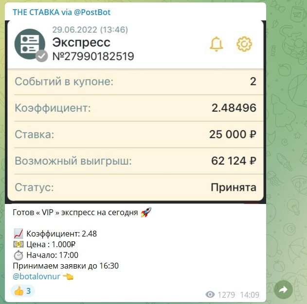 THE СТАВКА платные услуги