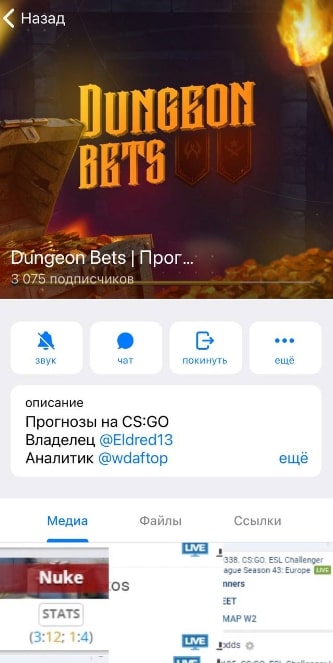 Dungeon Bets телеграм