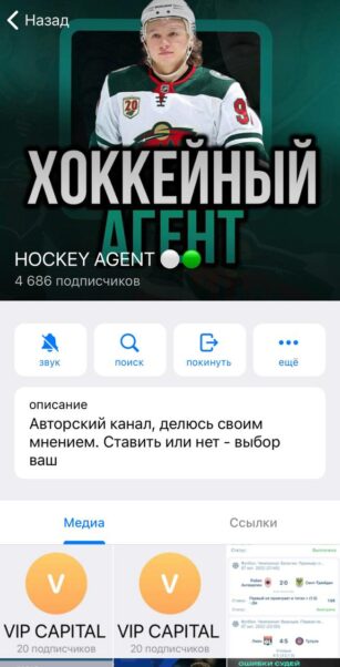 Каппер HOCKEY AGENT