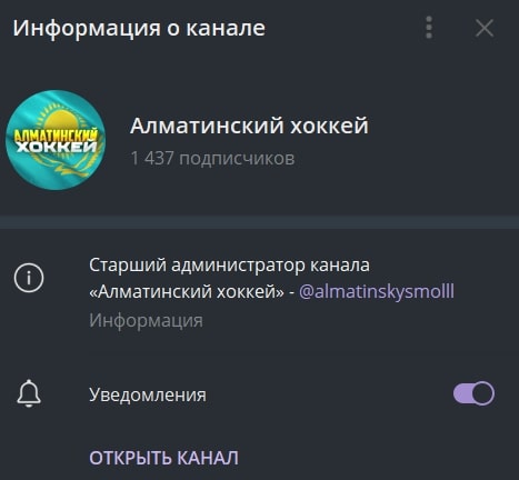 Алматинский хоккей телеграмм