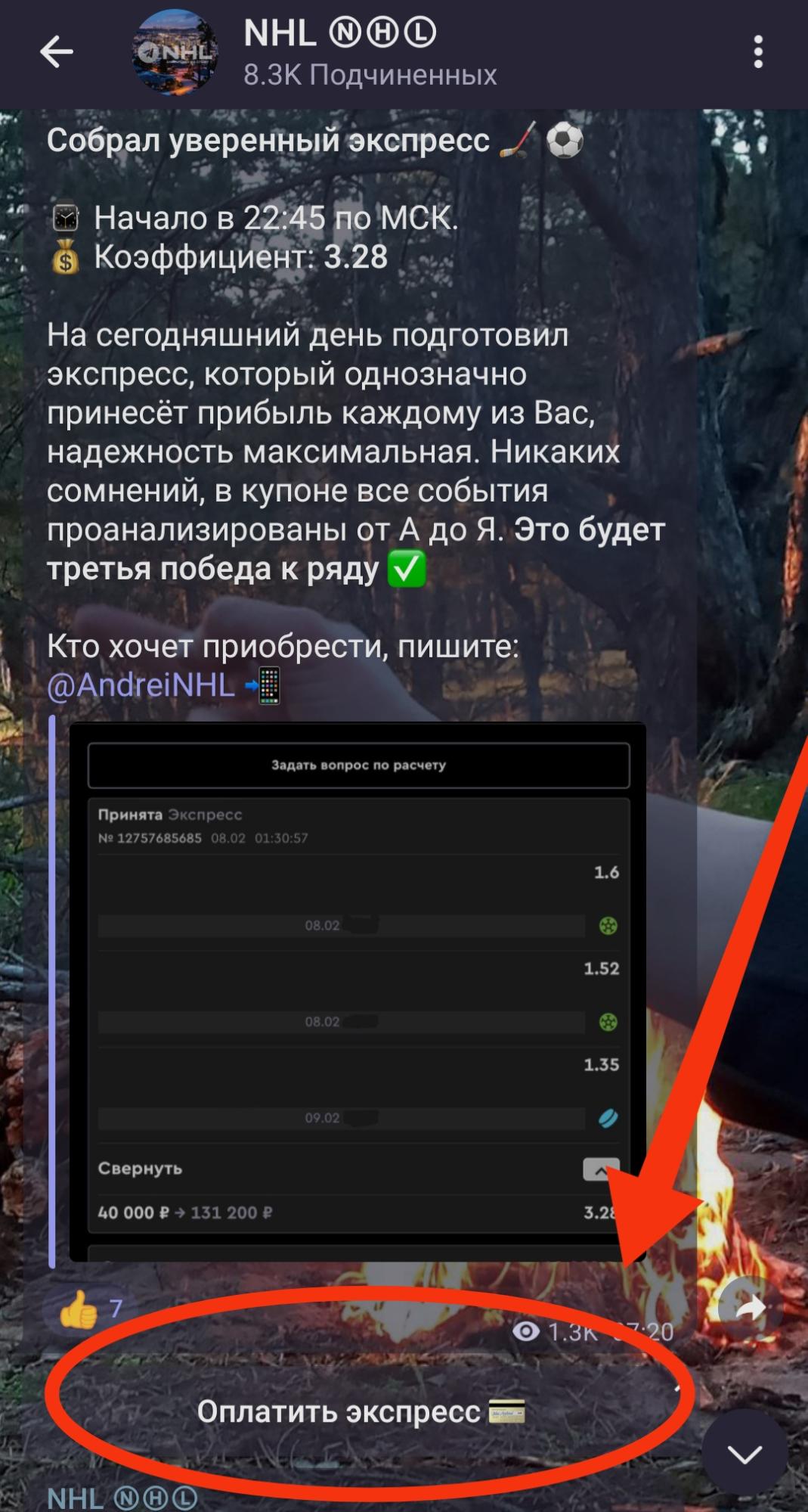 AndreiNHL оплата экспрессов