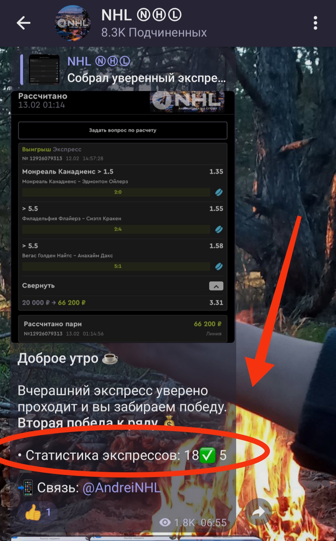 AndreiNHL статистика экспрессов