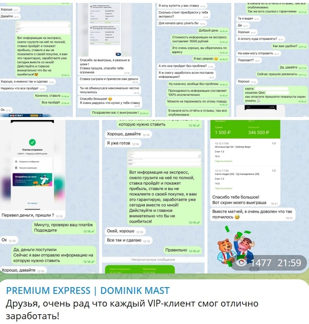 DOMINIK MAST ставки на спорт отзыв