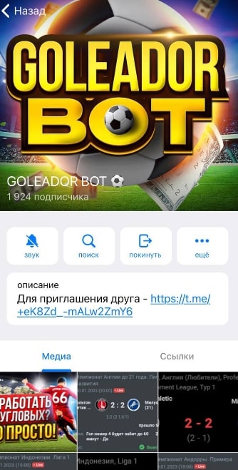 GOLEADOR BOT телеграмм
