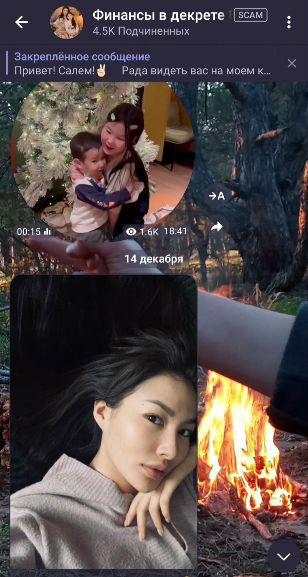 Проект Айнур Сулеймановой