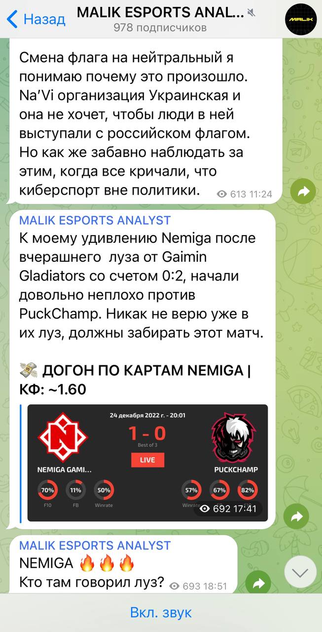 Проект MALIK ESPORTS ANALYST