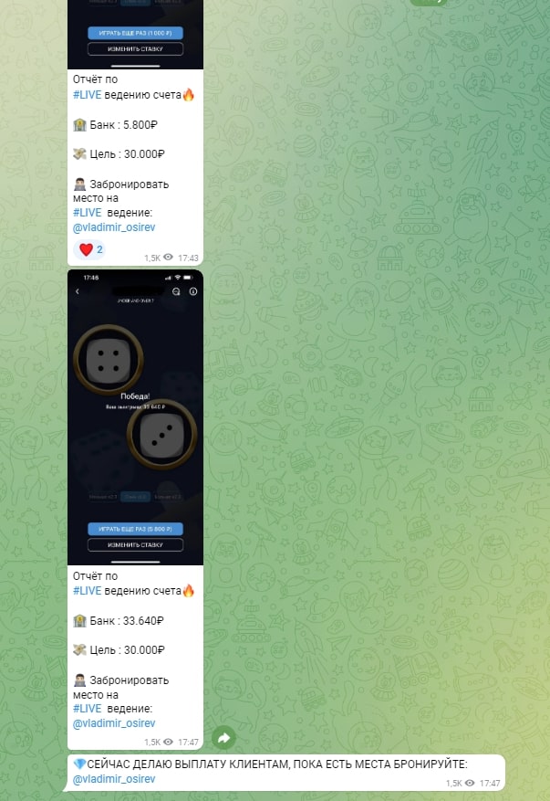 Vladimir Osirev отчет