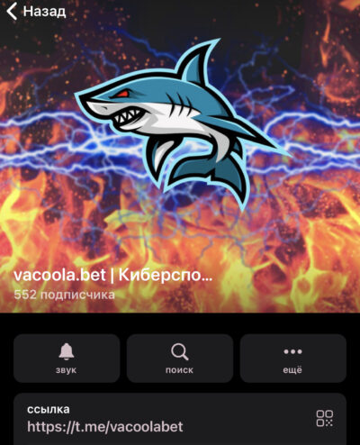 Каппер Vacoola Bet