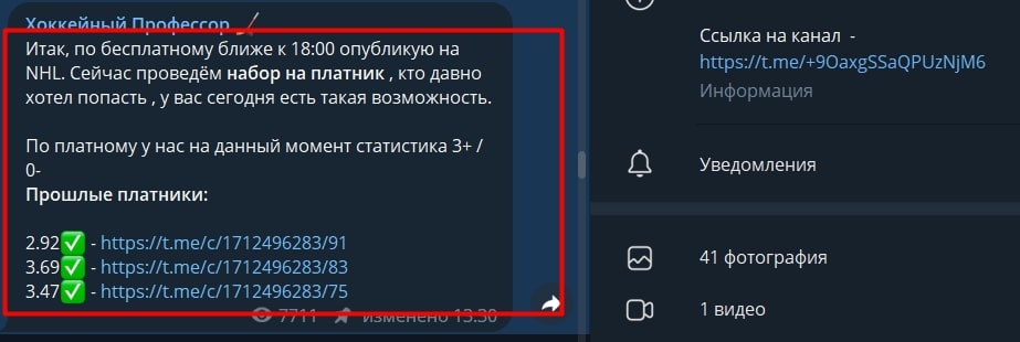Проект Хоккейный профессор