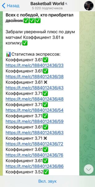 Basketball World отчетность по ставкам