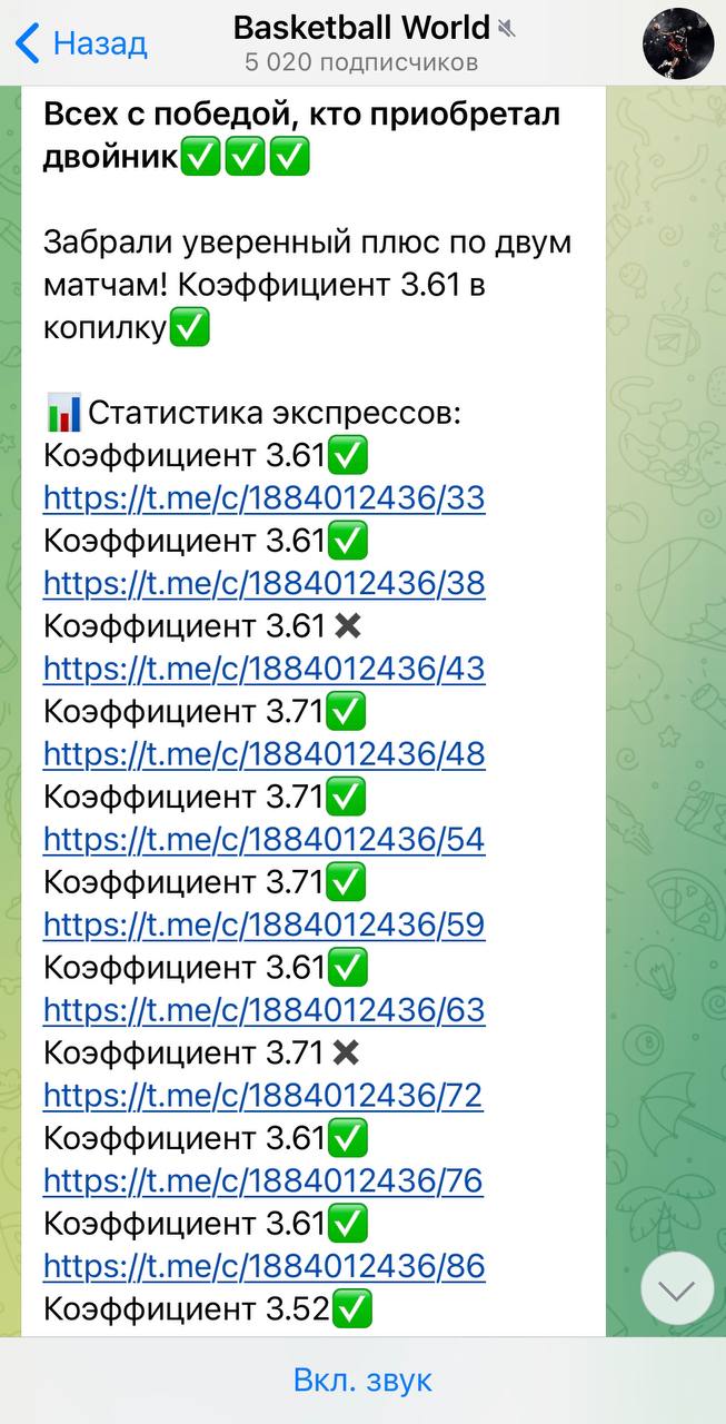 Basketball world отчетность