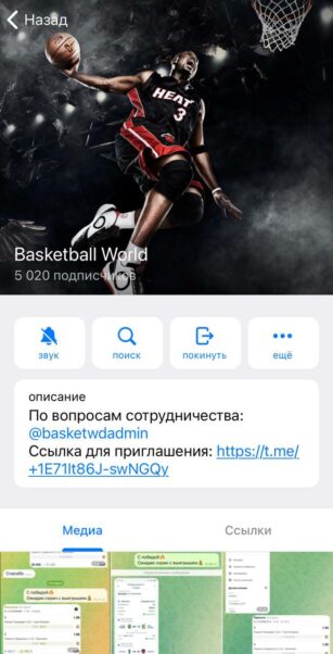 Каппер Basketball World
