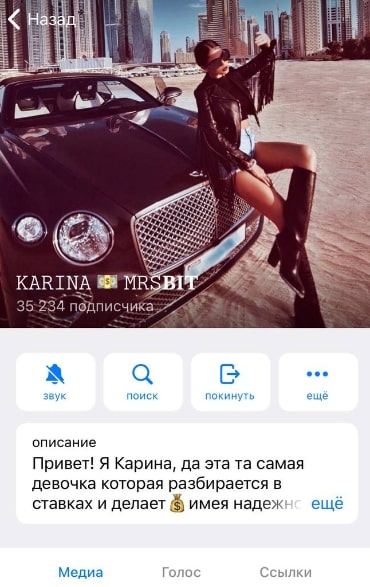 KARINA ENTIREBOT телеграм
