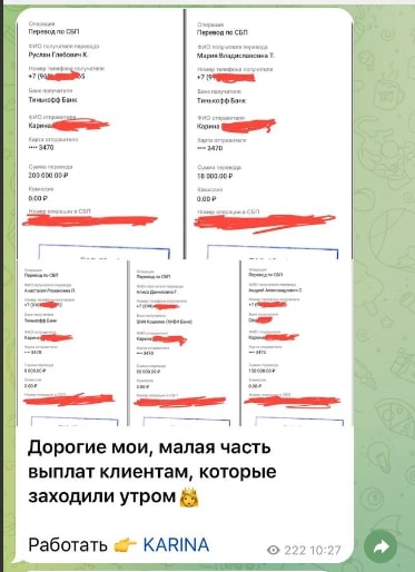 KARINA ENTIREBOT выплаты