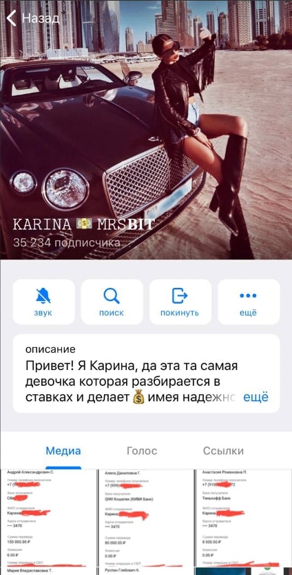 KARINA ROIDFELDT телеграм