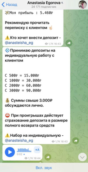 Anastasia Egorova инвестирование