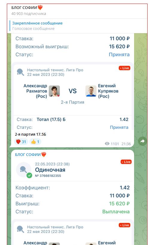 Блог Софии ставки