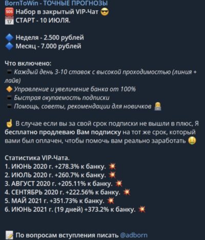 BornToWin инвстиции