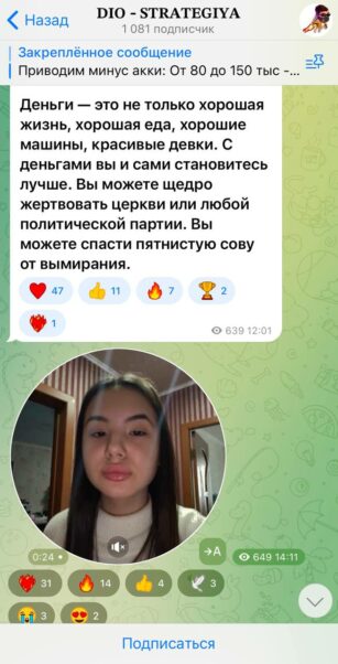 DIO STRATEGIYA отзывы