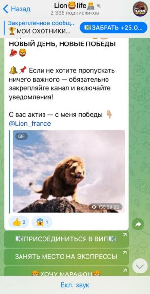 Канал Lion Life
