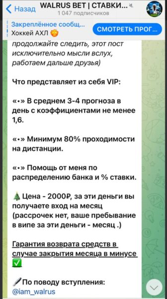 Канал WALRUS BET