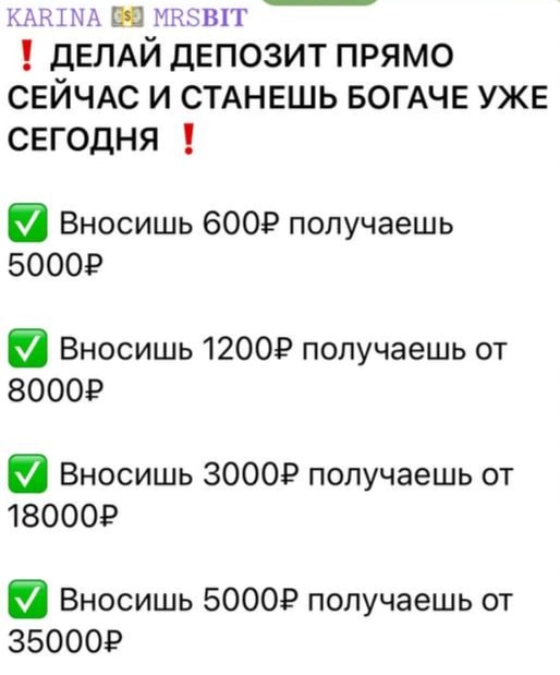 KARIN ERTNDOR инвестирование