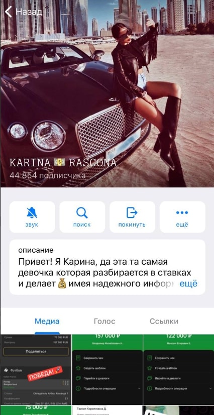 KARIN LESNUAGOS телеграмм