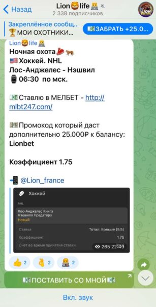 Lion Life ставки
