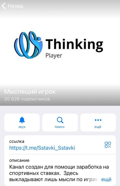 Мыслящий игрок телеграмм