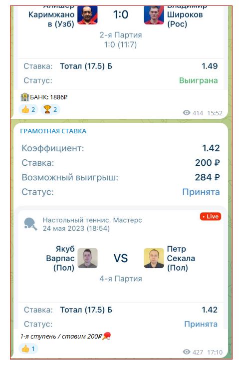 Проект Грамотная Ставка
