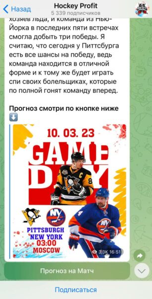 Проект Hockey Profit