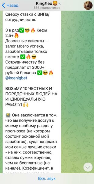 Проект KING LEO