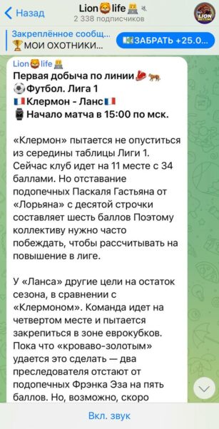 Проект Lion Life