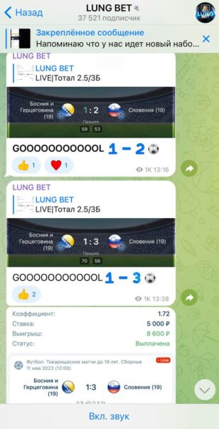 Проект LUNG BET