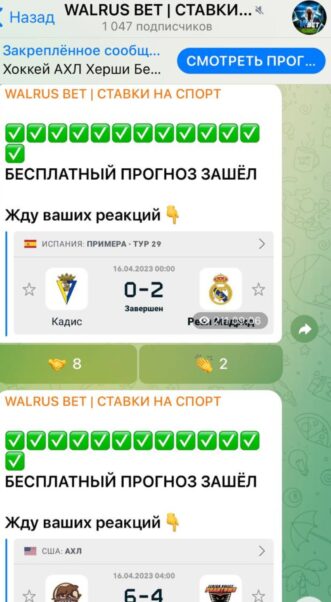 WALRUS BET статситика