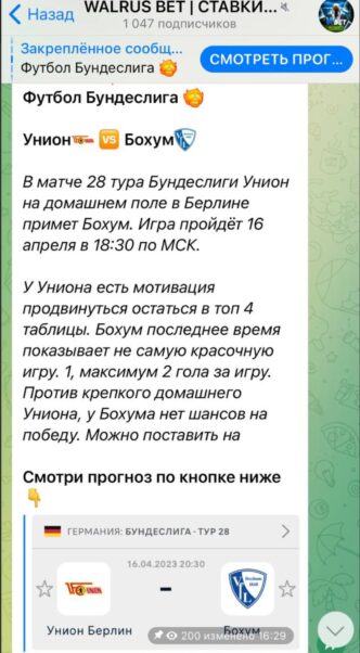 WALRUS BET ставки