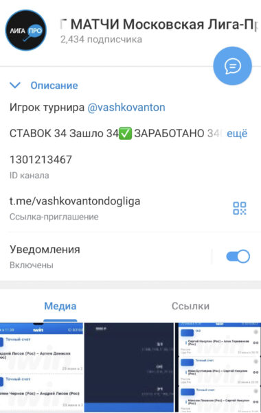 ДОГ МАТЧИ МОСКОВСКАЯ ЛИГА ПРО телеграм