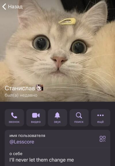 Каппер ETERNAL BETS