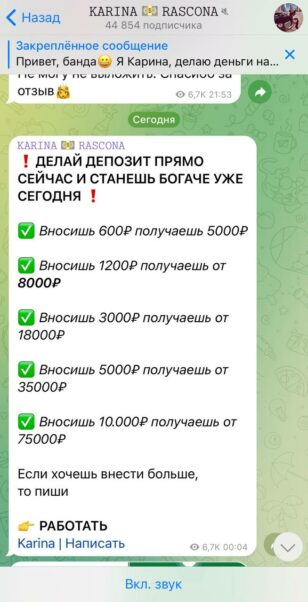 KARINA ELUNISITA статистика