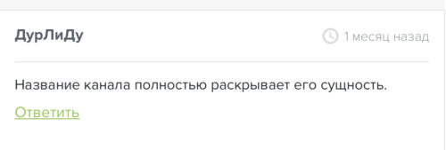 Команда Критина отзыв