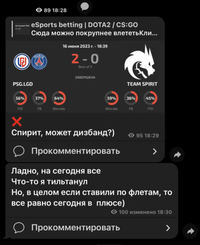 Команда Критина проект