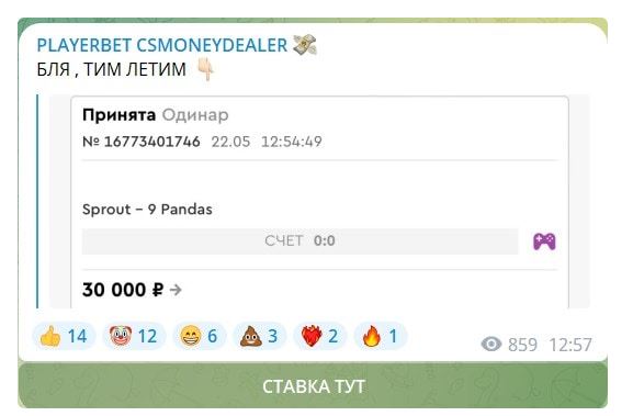 PLAYERBET CSMONEYDEALER в телеграм