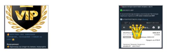 Проект Soccer24