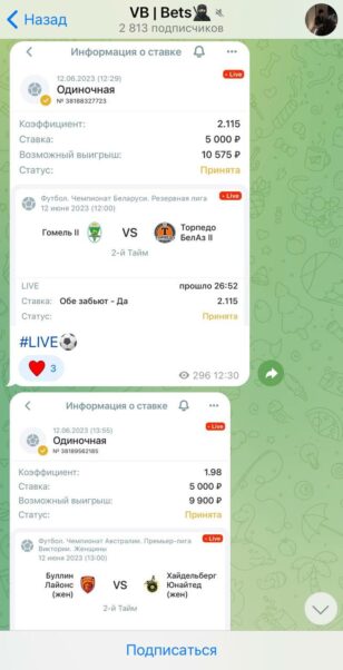 Проект VB BETS