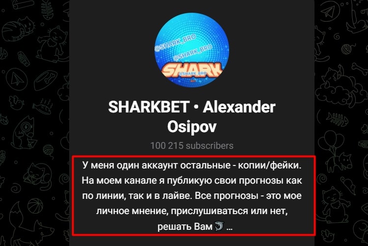 Shark Bet телеграмм