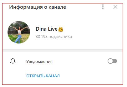 Dina Investments информация о канале